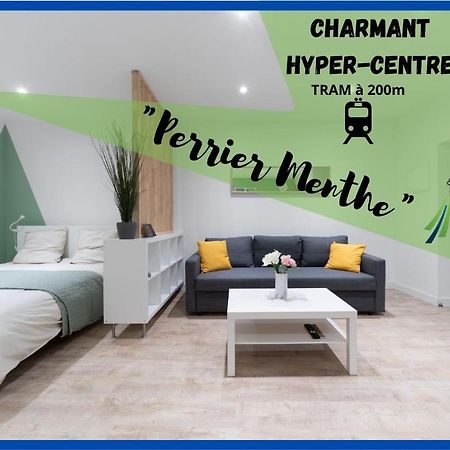 شقة ※Perrier Menthe※ Hyper-Centre Et Tranquillite كليرمونت-فيراند المظهر الخارجي الصورة